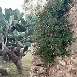 Trullo Experience