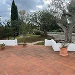Villa De Bellis Vitti