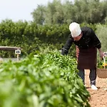 Tenuta Moreno