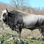 Agriturismo Monte Sacro