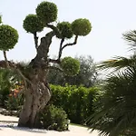 Villa Tonia