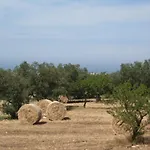 B&B Cinque Stalle