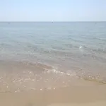 Bilocali Sul Mare Le Orchidee