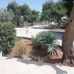 Domus Mea