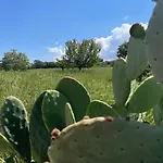 Trulli Del Sole