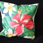 Strelitzia Home