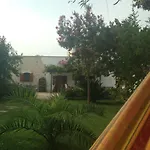 B&B Govinda Shanty House