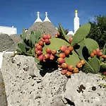 Bed & Breakfast La Collinetta