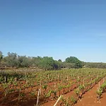 Masseria Le Betulle