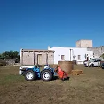 Masseria Petrore Grande Di Polimeno Alessandra