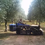 Tenuta Santa Giovanna