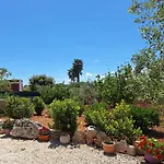 Baciati Dal Sole