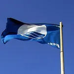 Licasedimare