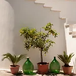 Villa Tra I Pini - Green & Relax