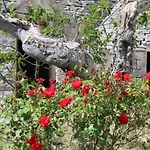 La Cummersa All'Ombra Dell'Ulivo