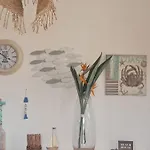 Stella Marina
