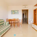 Orchidea Flat - Roca