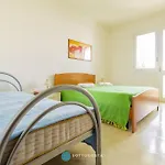 Orchidea Flat - Roca
