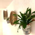 Casa Mia
