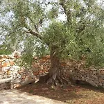 Almapetra Trulli Resort