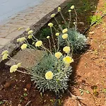 Dimora Bianchemura