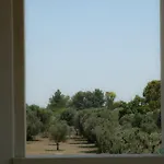 Agriturismo Li Calizzi Arte E Natura