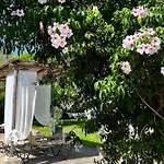 Bed&Breakfast Casina Montana
