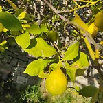 Masseria Calo