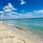 Casa Sasa
