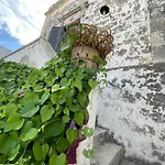 Antica Dimora Guesthouse, Salento, Ortelle
