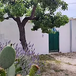 La Lamiodda
