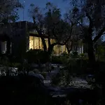 Elegant Modern Villa In Olive Grove