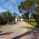 B&B Paduli Piani