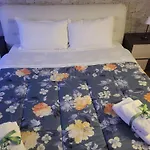 L'Edera