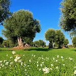Minicasa Nella Natura, Con Piscina A Due Passi
