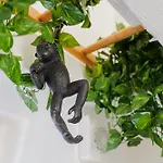 Dimora Lavinia Casa Vacanze Centro Storico Ostuni