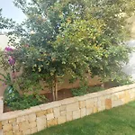 B&B 