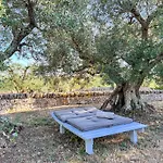 Td Trulli Locobello Stylish & Cozy Trulli With Pool
