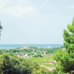 Morgi