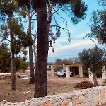 B&B Quasimare