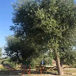 B&B Coccio Pesto