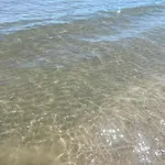 Soleemare Barletta