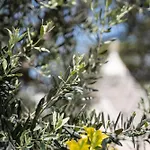 Trullo Leone