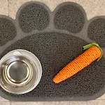 Cat'S Room
