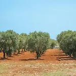 Villa Donnosanto A 5 Minuti Dalla Spiaggia, Ostuni 10 Minuti