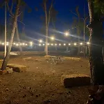 B&B Quasimare