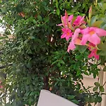 Dimora Francesca