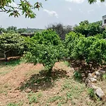 Il Giardino