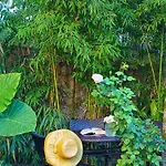 Wunderkammer B&B