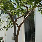 Small House Lecce